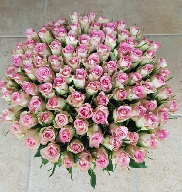 Lieflijk witroze