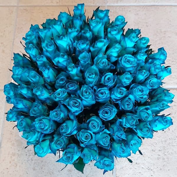 Blauwe rozen bos van 50 stuks