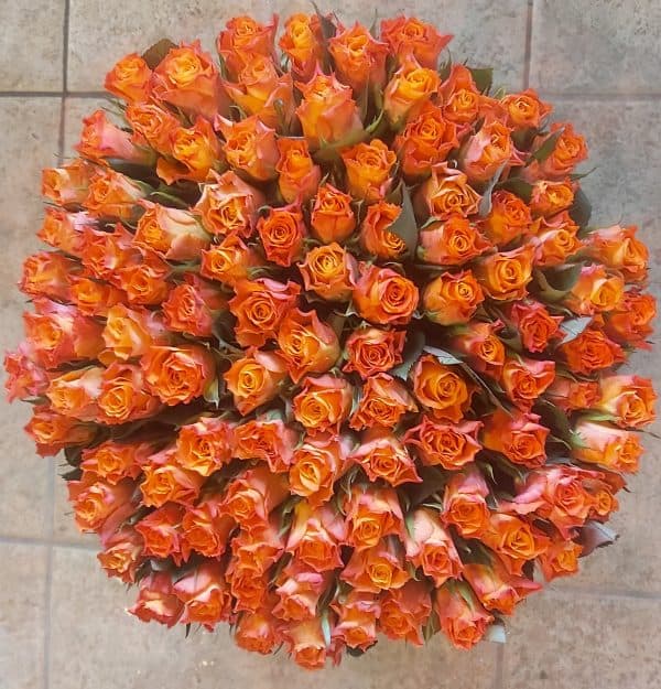 Warm oranje